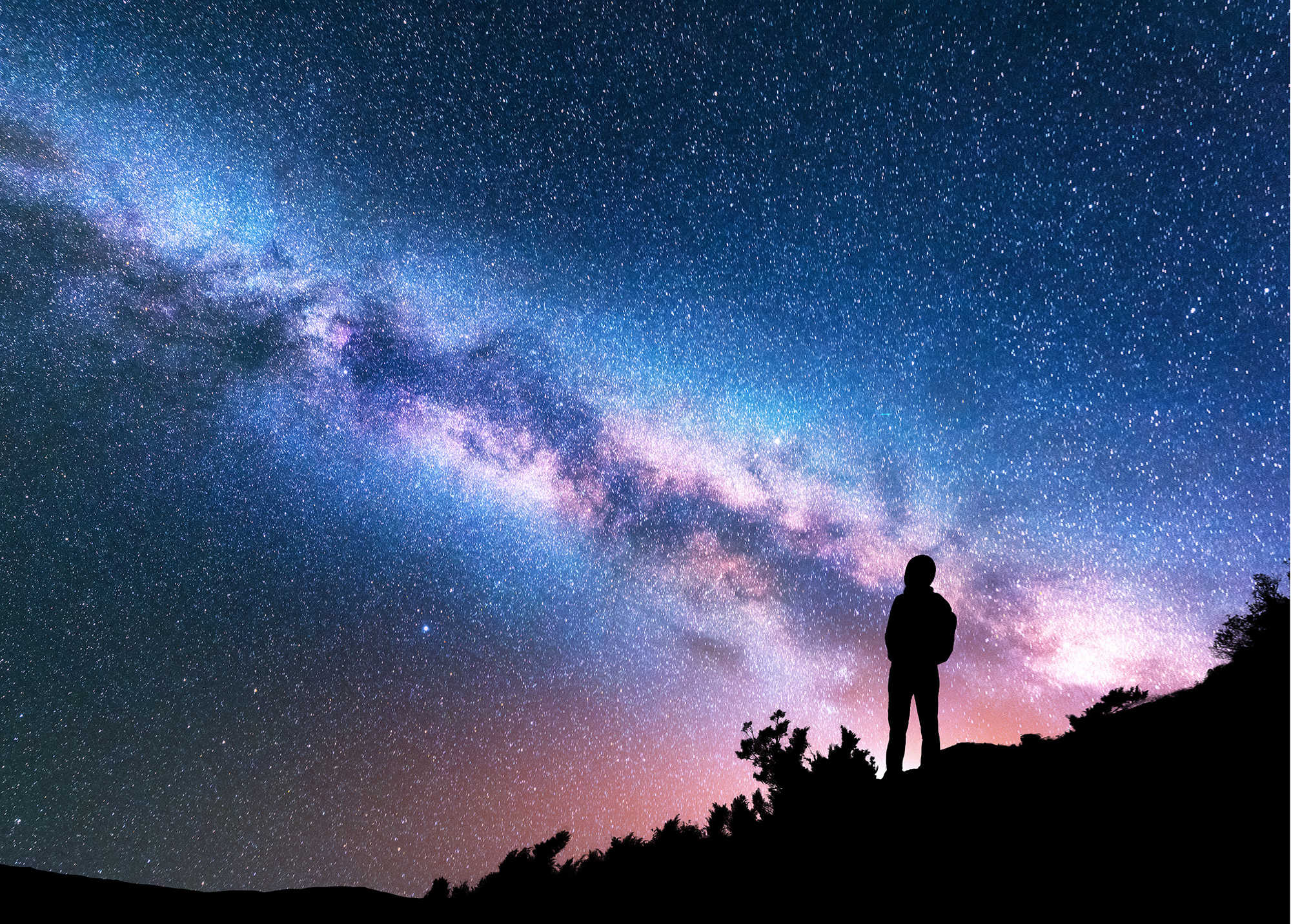 silhouette starry sky